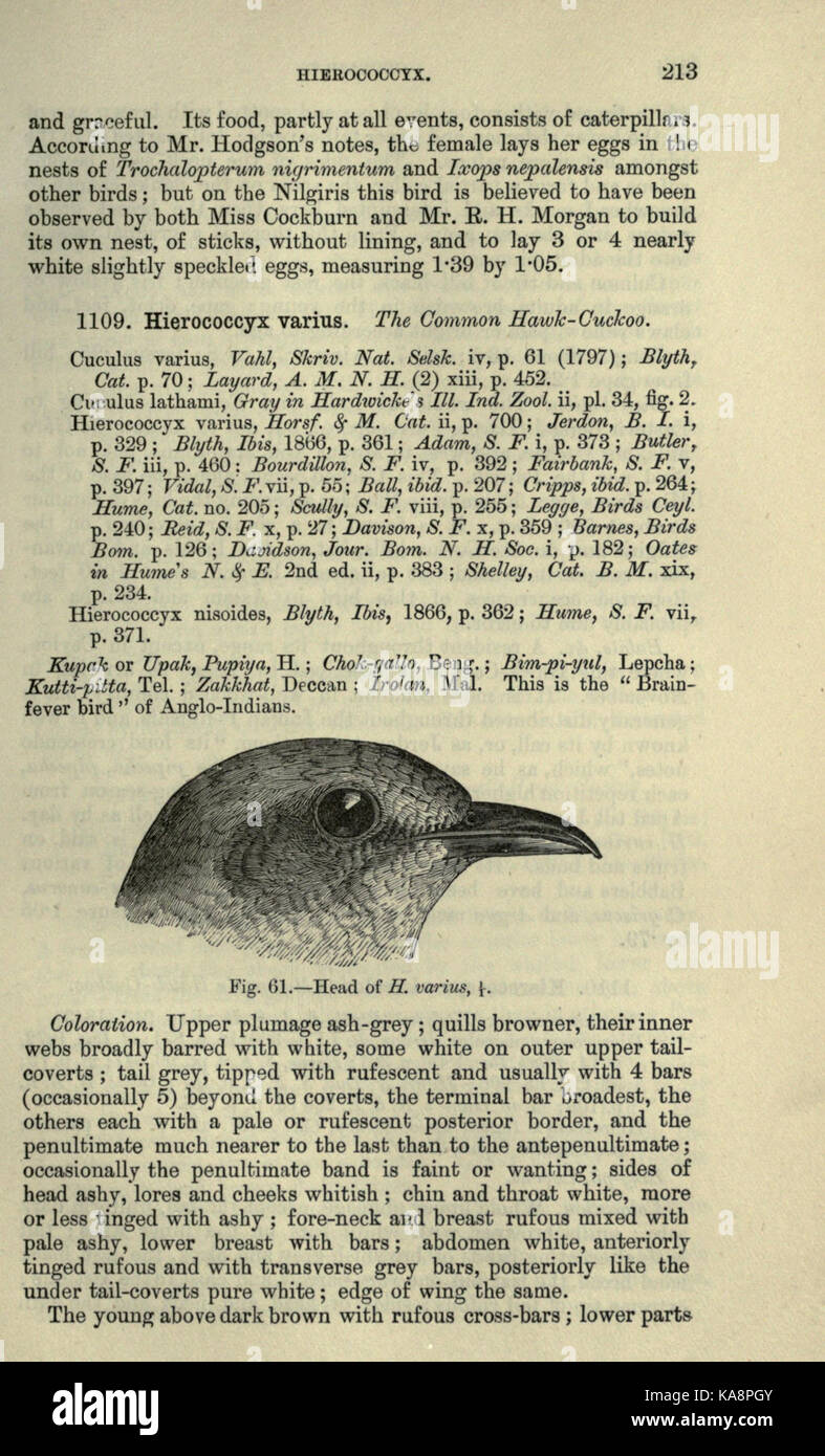 The fauna of British India, including Ceylon and Burma (Page 213) BHL20629823 Stock Photo