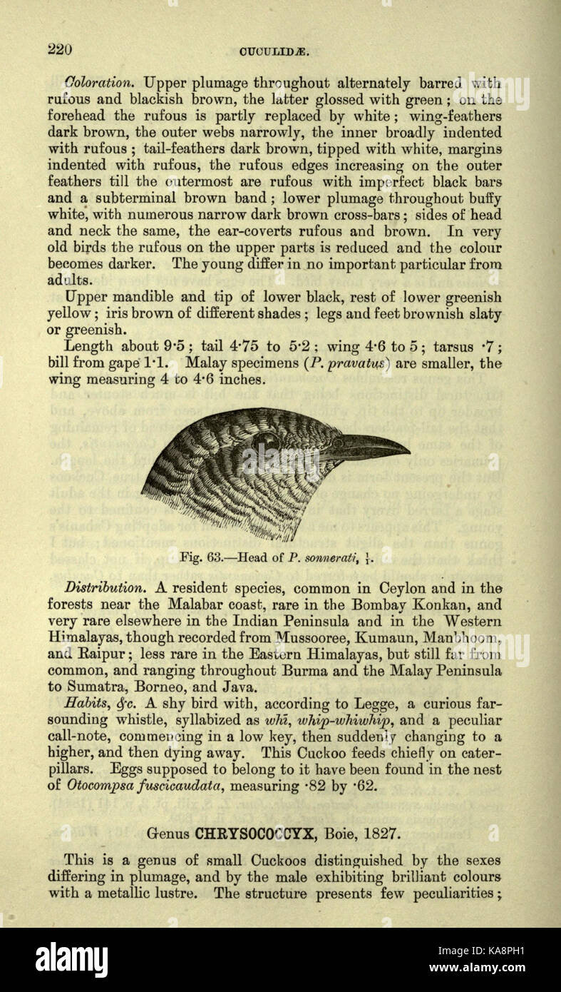 The fauna of British India, including Ceylon and Burma (Page 220) BHL20629830 Stock Photo