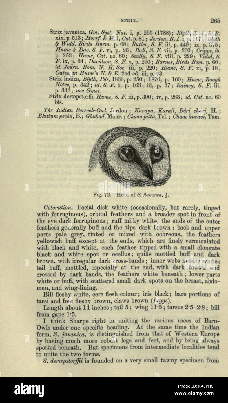 The fauna of British India, including Ceylon and Burma (Page 265) BHL20629875 Stock Photo