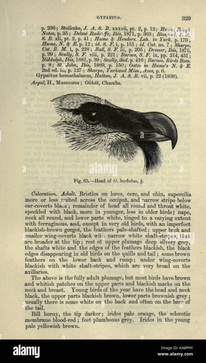 The fauna of British India, including Ceylon and Burma (Page 329) BHL20629939 Stock Photo