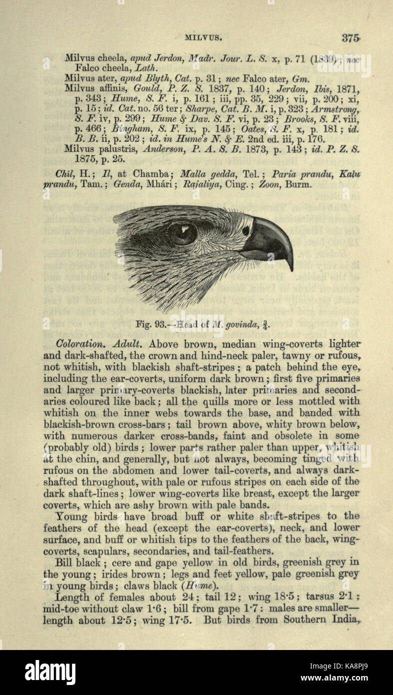 The fauna of British India, including Ceylon and Burma (Page 375) BHL20629985 Stock Photo
