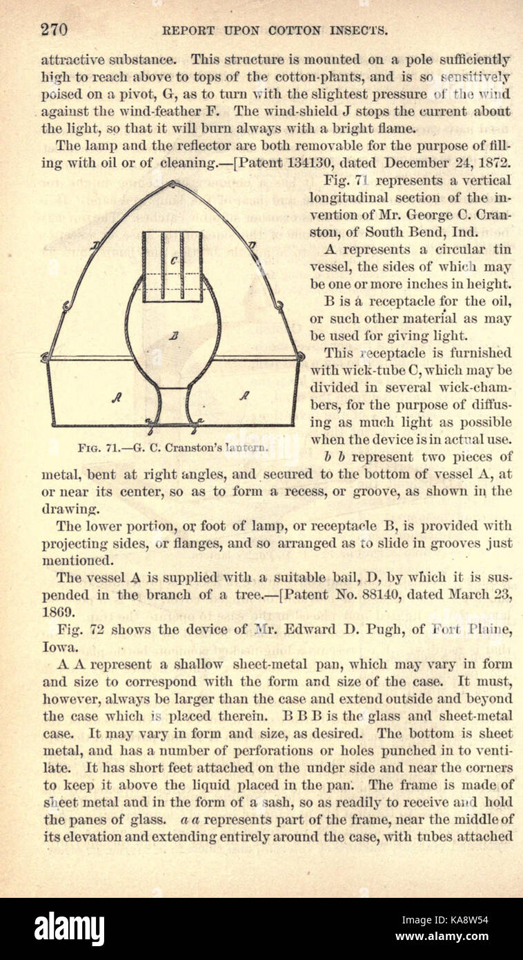 A report on cotton insects, detailing the impact of pests on cotton ...
