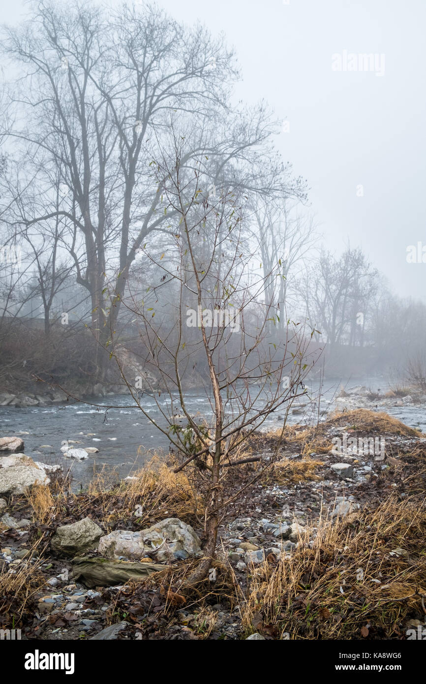 Trees and river in late fall. Stock Photo