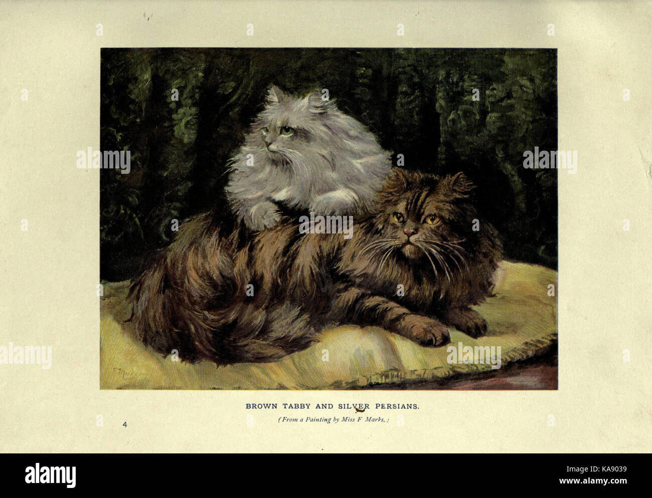 The book of the cat (Plate 4) (6263033095) Stock Photo