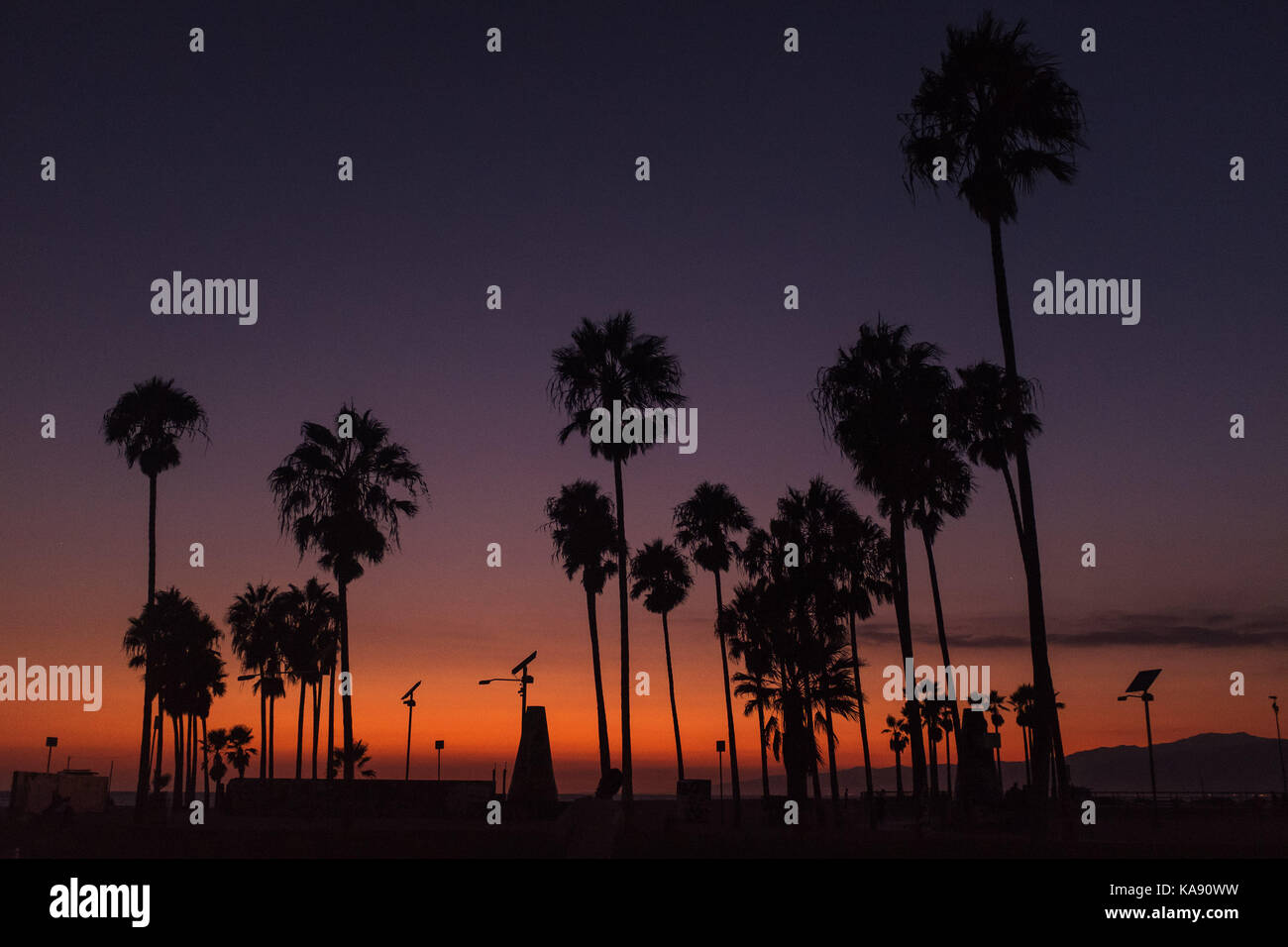 Sunset on Venice Beach, Los Angeles, overlooking the Pacific Ocean ...