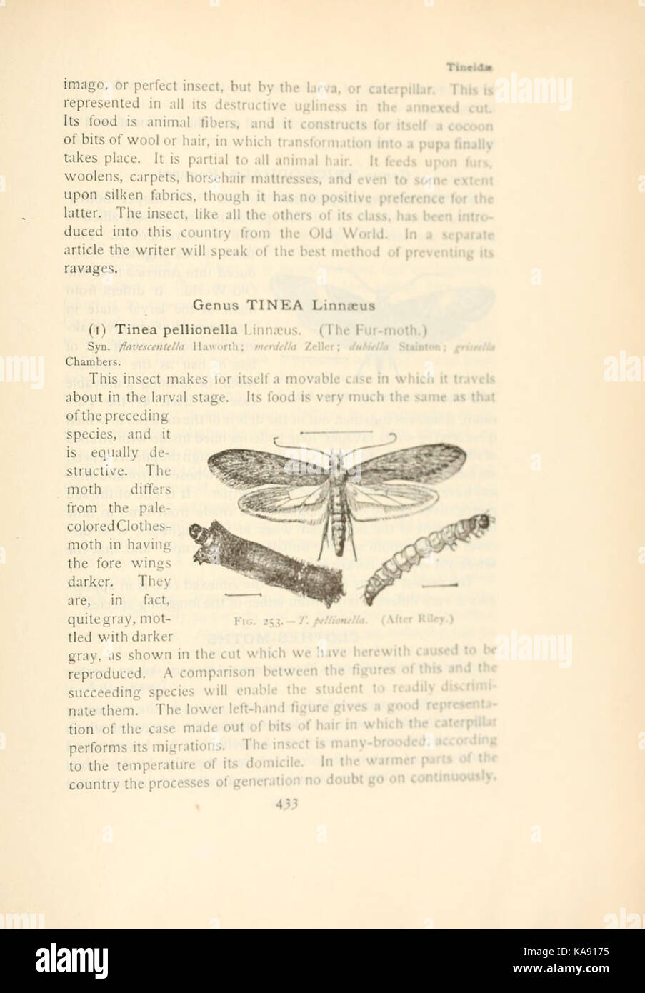 Butterfly visual data 6
