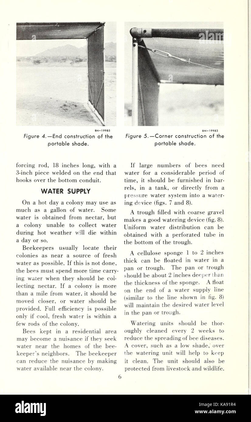 Shade and water for the honey bee colony   (by Charles D. Owens and S.E. McGregor) (Page 6) BHL42041945 Stock Photo