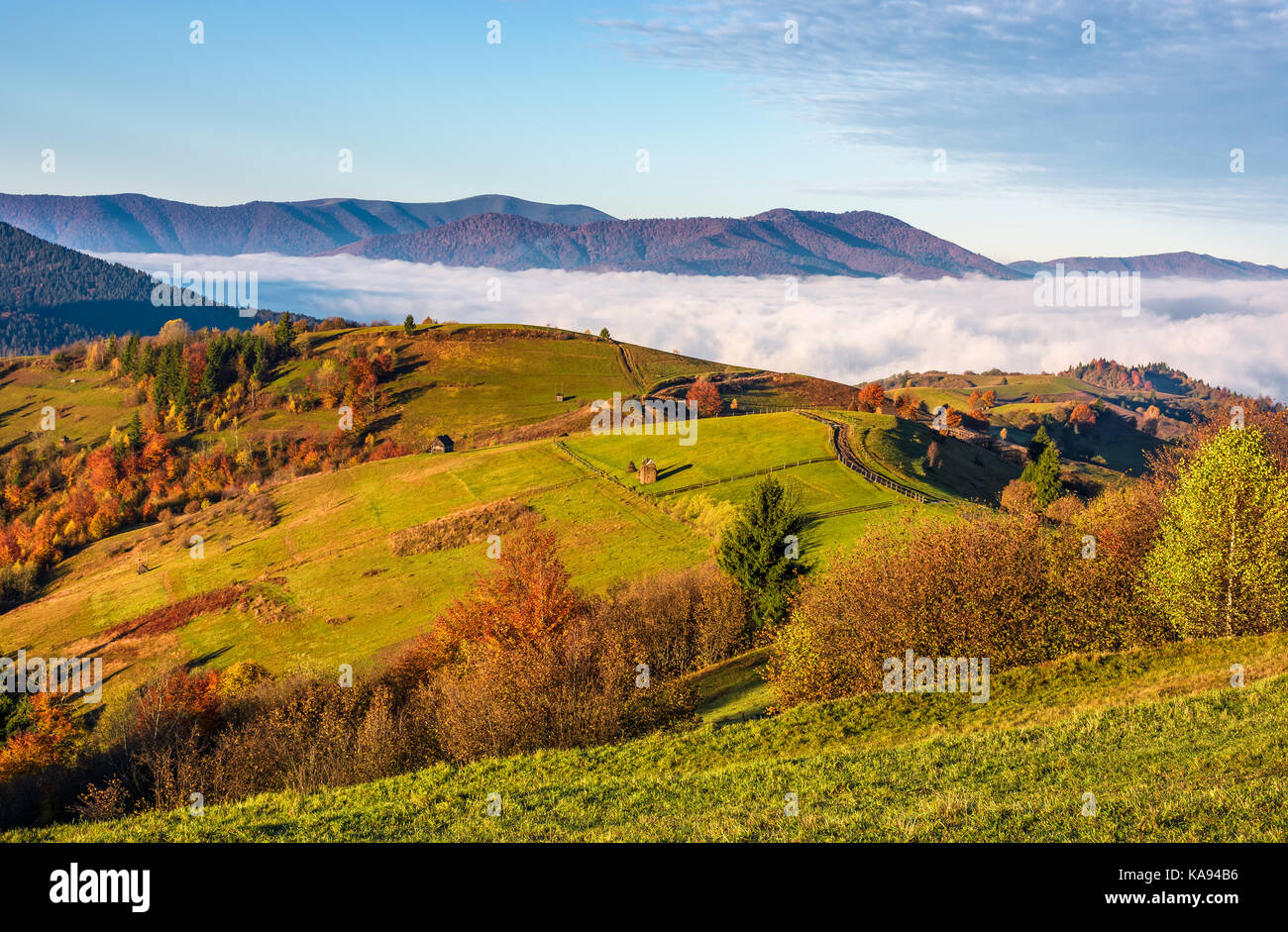 gorgeous morning in mountainous rural area in autumn. wooden fence ...