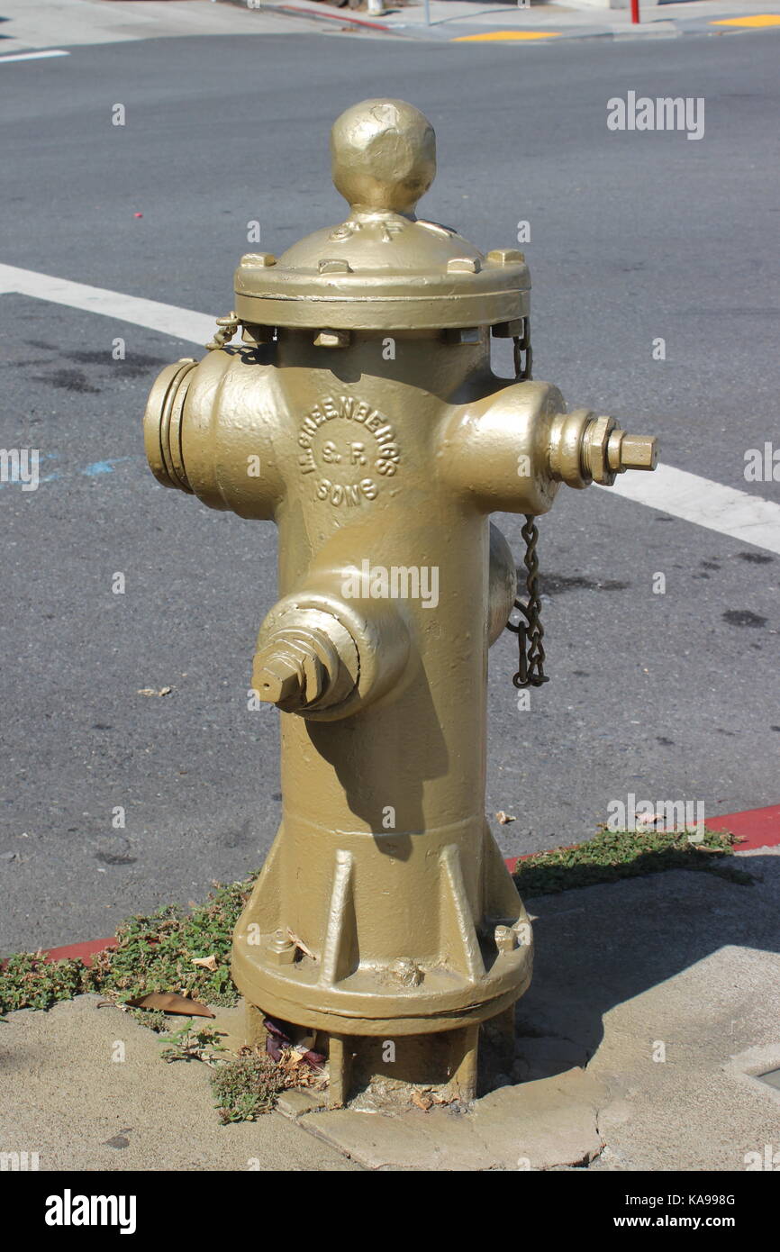 Golden Fire Hydrant, Mission District, San Francisco, California Stock Photo