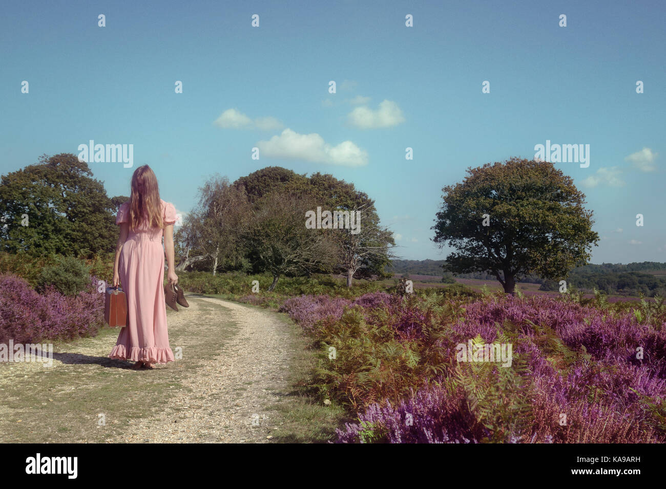 a woman in a purple dress is walking through the heather with a suitcase Stock Photo
