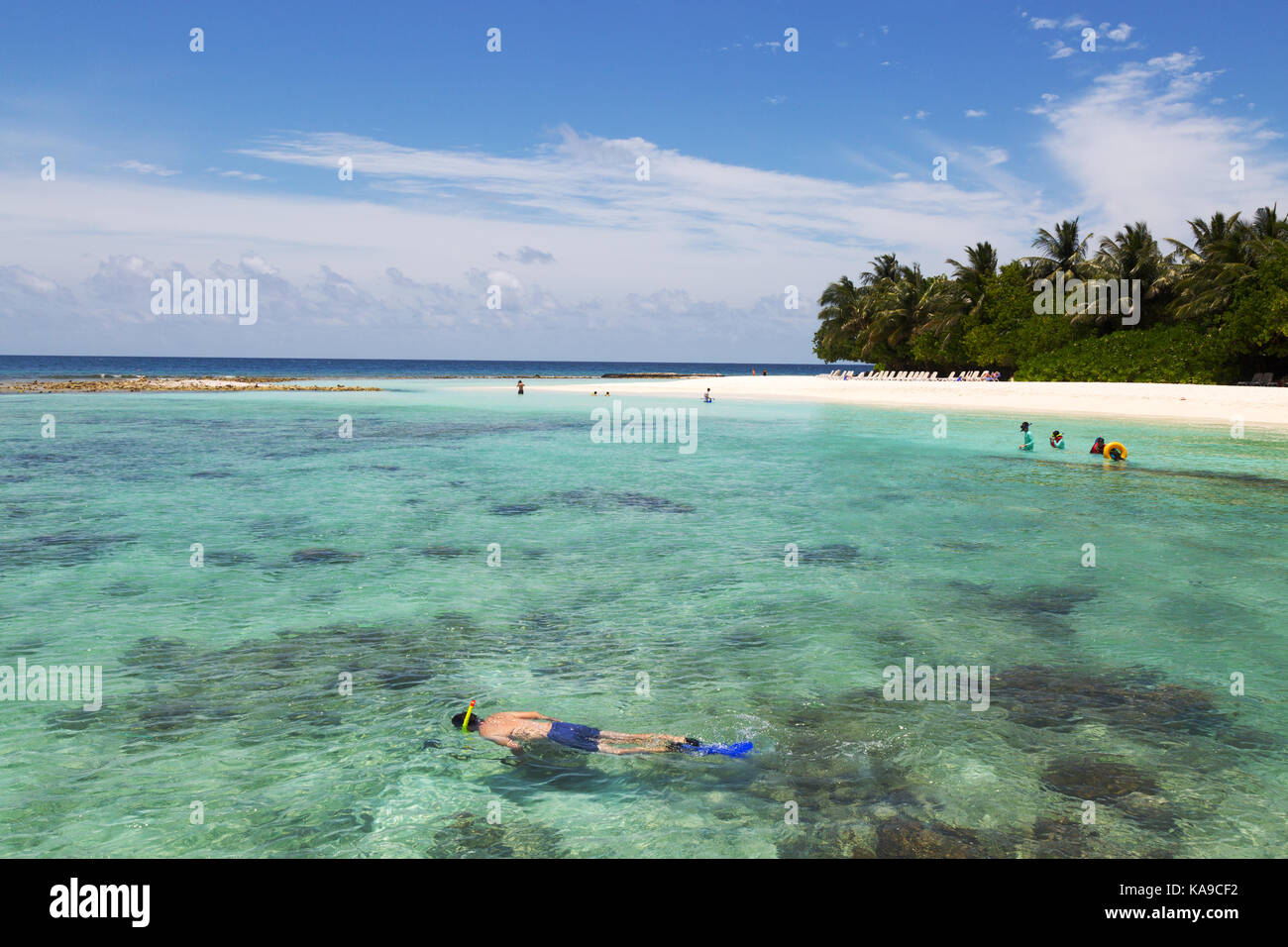 Maldives Snorkeling Tourists On A Maldives Holiday Snorkeling Off 