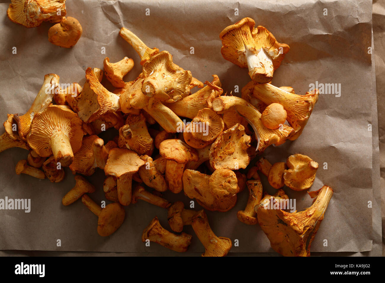 Fresh chanterelles, food top view Stock Photo Alamy