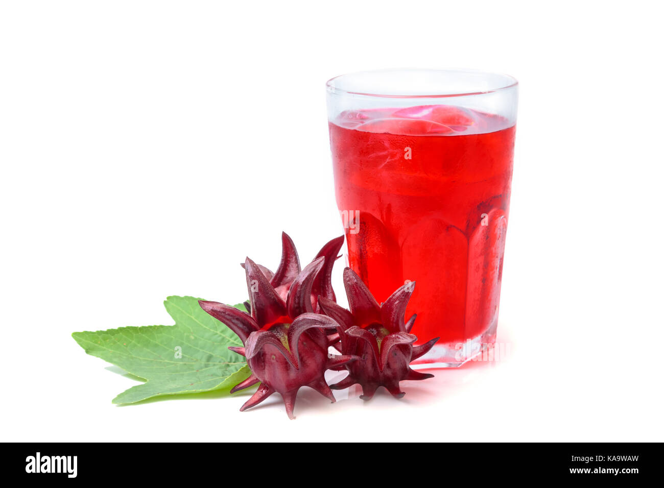 Roselle or hibiscus juice with fresh roselle, a drink for good health