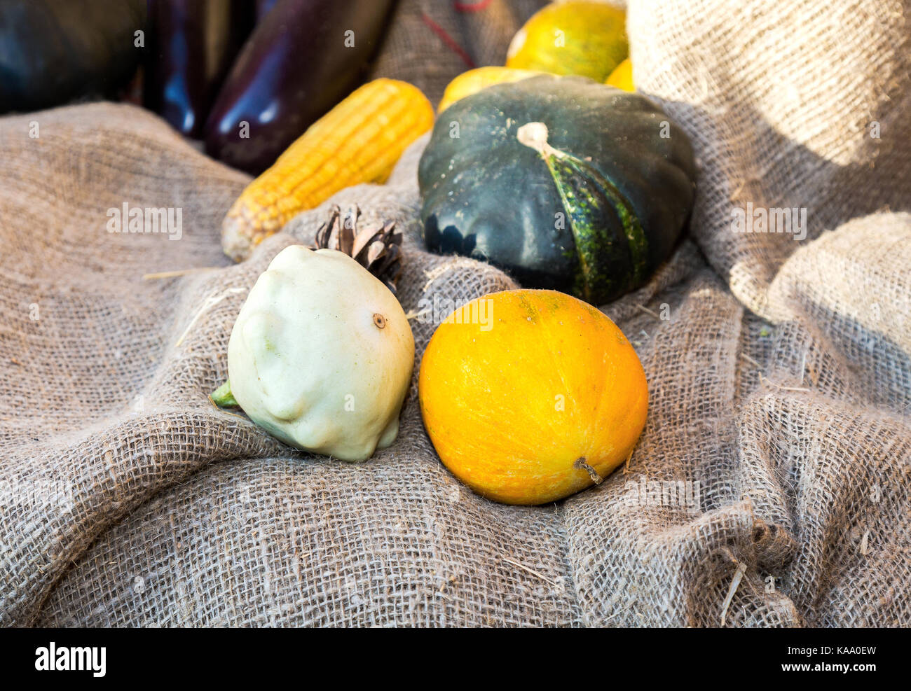 Agriculture harvested various fresh vegetables on the coarse linen cloth Stock Photo