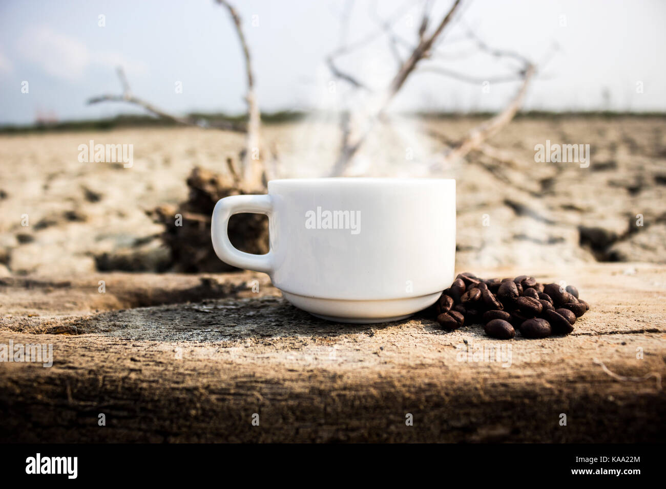 Coffee cup in the morning Stock Photo Alamy