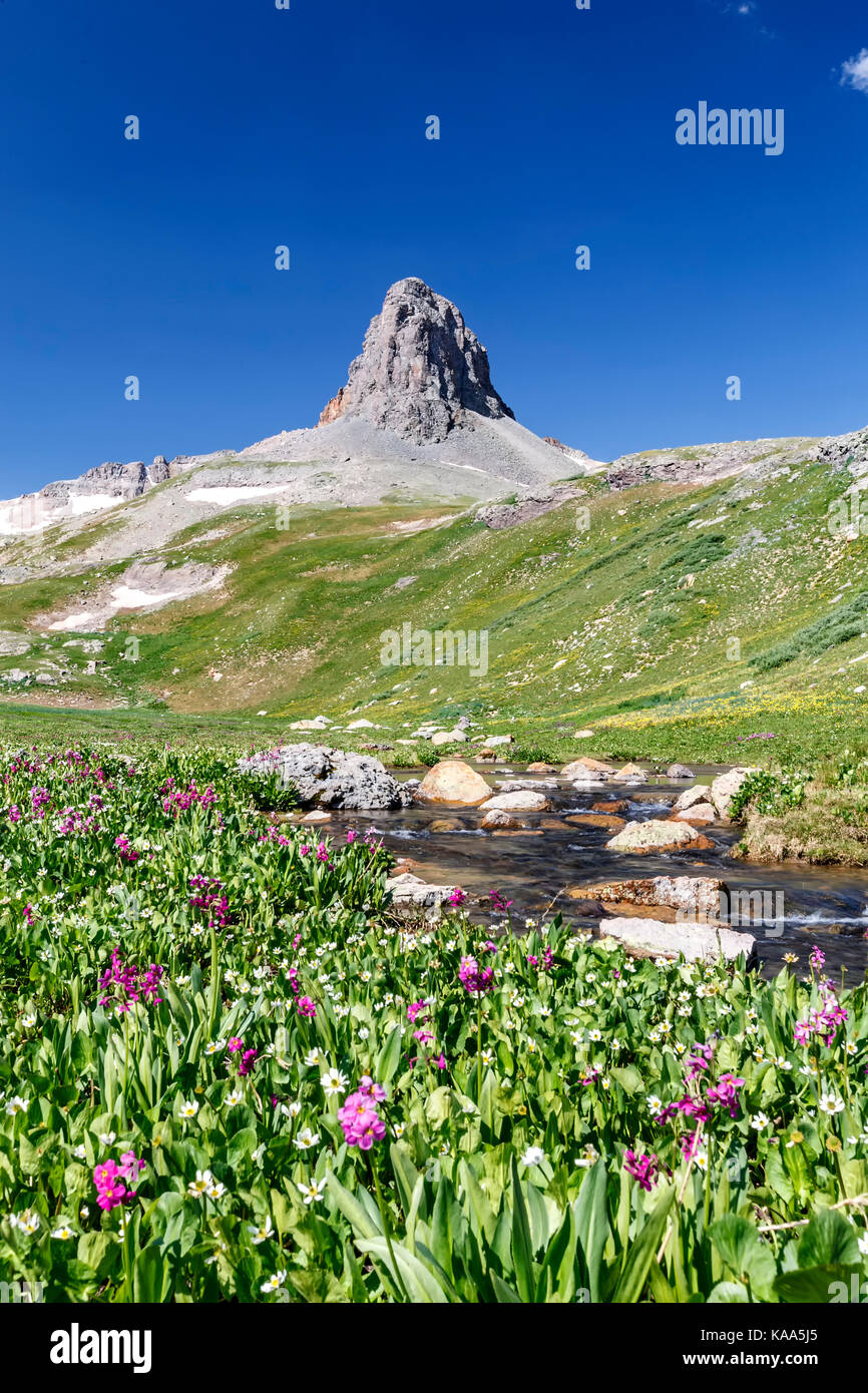 Pilot Knob (13,738 ft.), creek and wildflowers, Ice Lake Basin, San