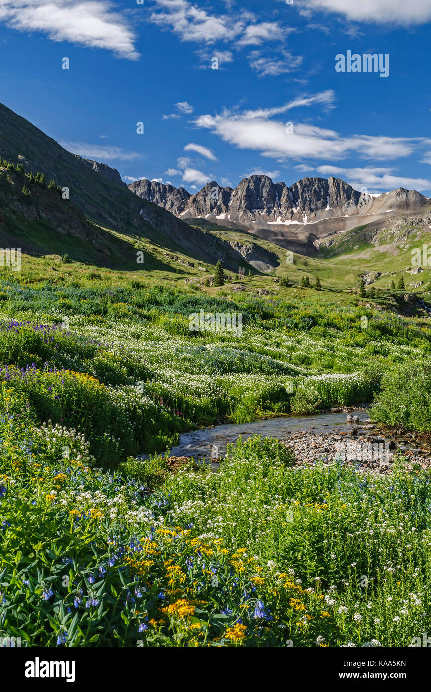 American Basin Crags, creek and wildflowers, American Basin, San Juan National Forest, Colorado USA Stock Photo