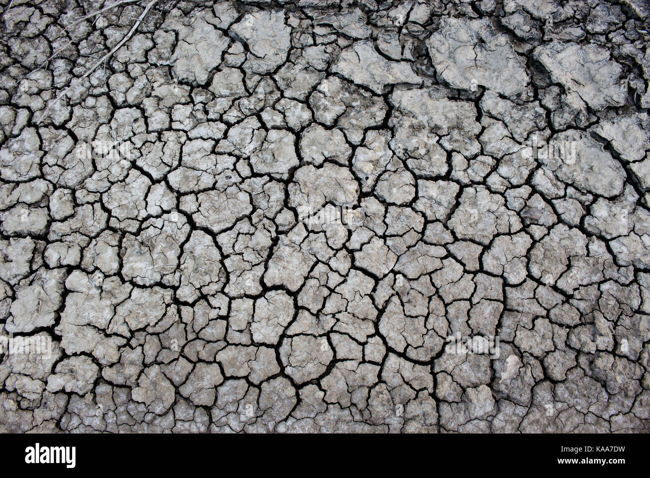 Area arid dry soil,Drought disaster. Stock Photo