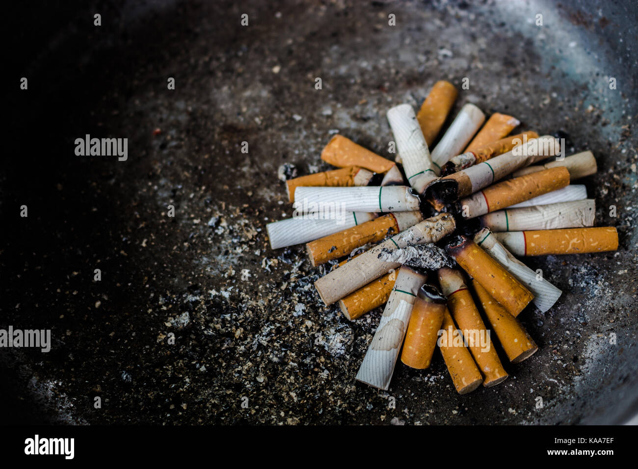 cigarette cross section Cross-section of an asbestos-laden filter. Kent's Micronite filter cigarettes were popularly marketed as a "Taste Improvement" and "Kind on the Lungs". : r/interestingasfuck Smoking - StoryMD