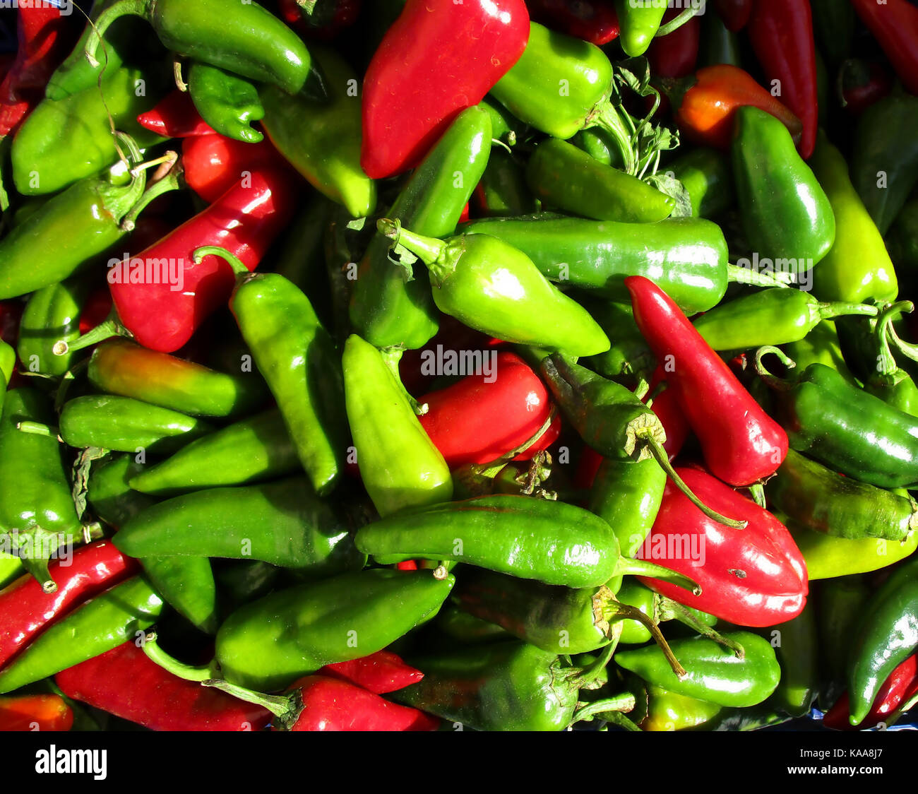 red and green chillies Stock Photo Alamy