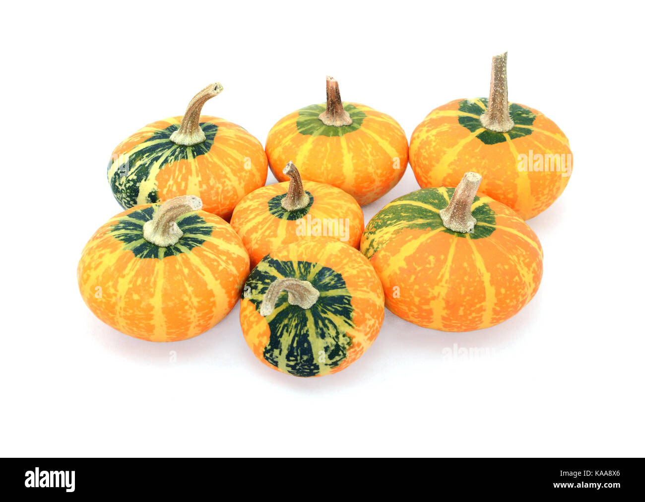 Group of seven small disc-shaped ornamental gourds with green and orange markings, isolated on a white background Stock Photo