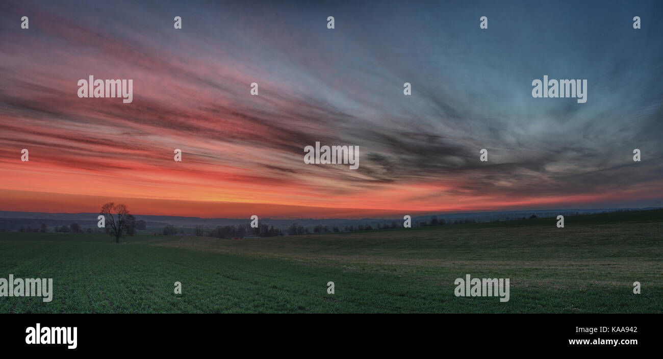 Lonely tree on a meadow against beautiful sky with clouds at sunset in ...