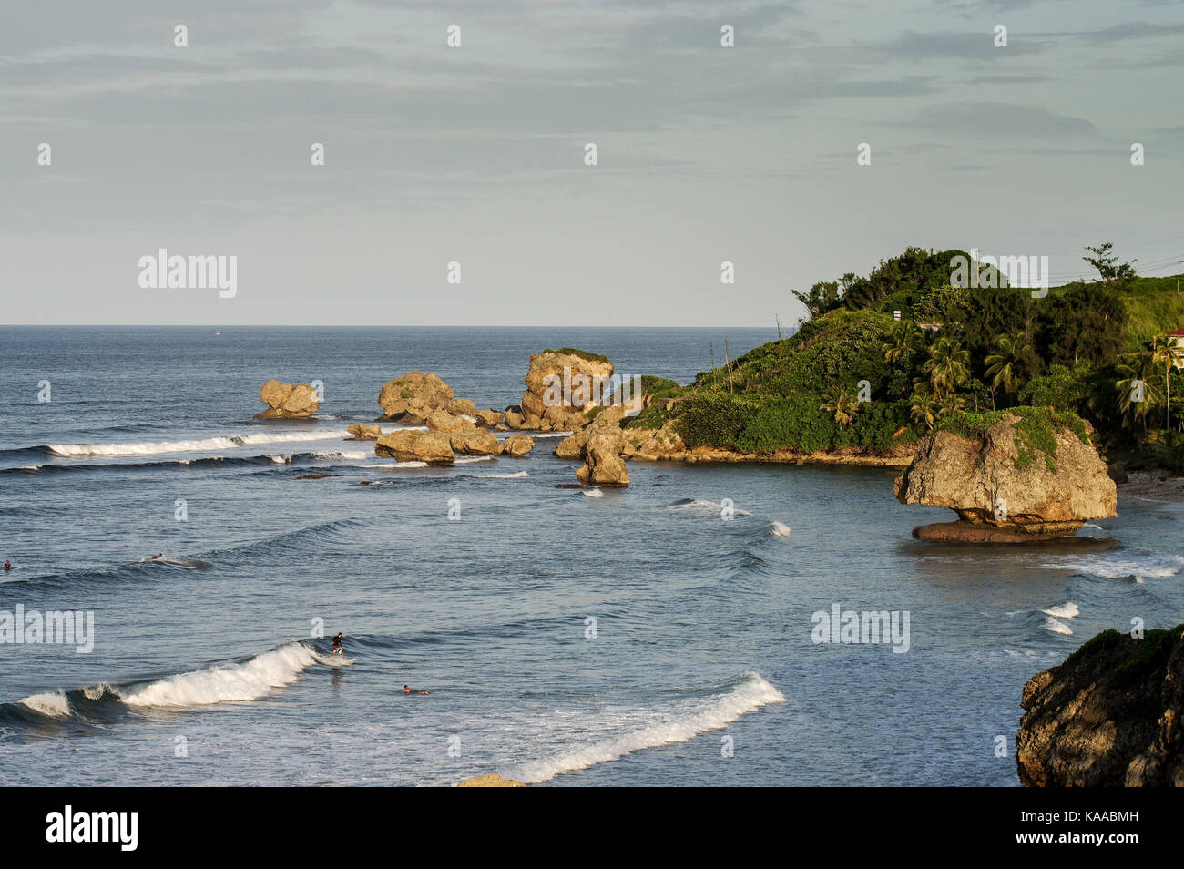 View of the rocky coast surrounding Bathsheba and the famous mushroom rock on the east coast of Barbados Stock Photo