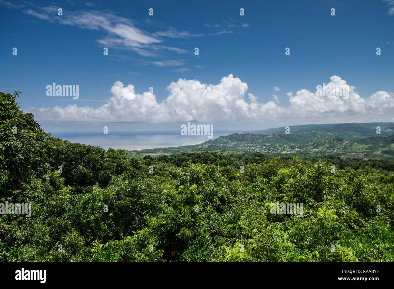 Stunning view of the east coast of Barbados from Farley Hill National Park Stock Photo