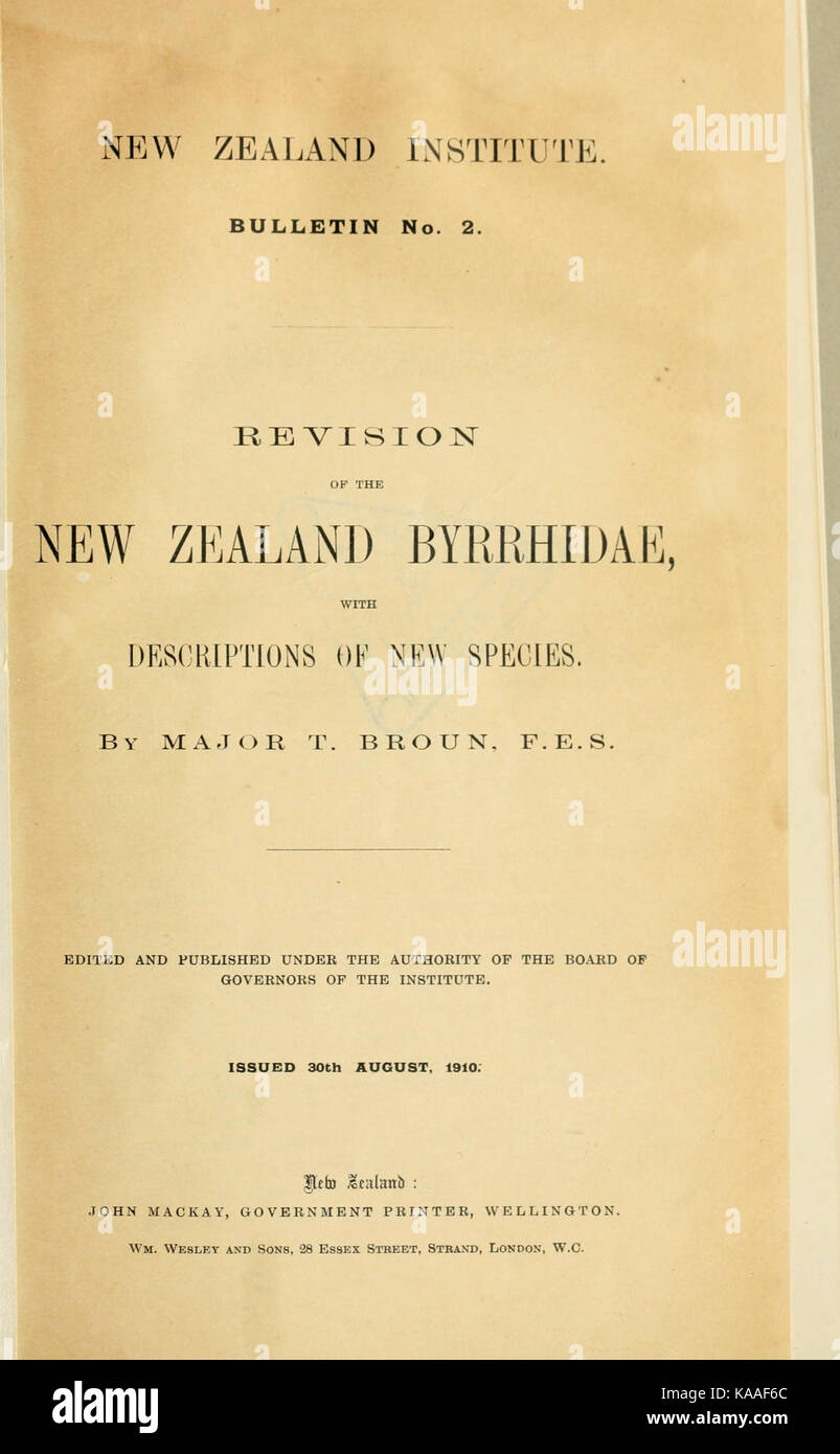 Revision of the New Zealand Byrrhidae (Page 1) BHL23609272 Stock Photo