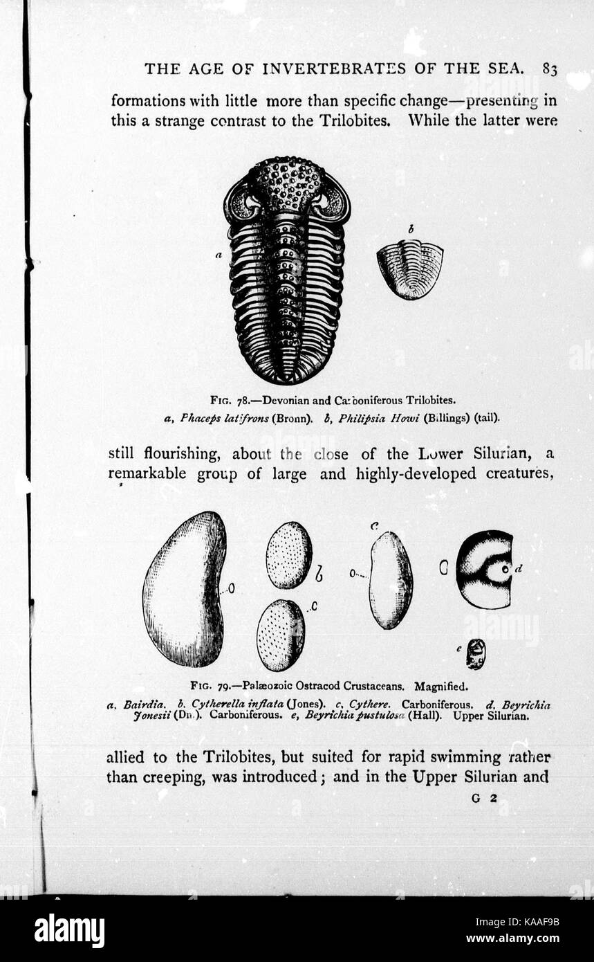 Geological time periods Black and White Stock Photos & Images - Alamy
