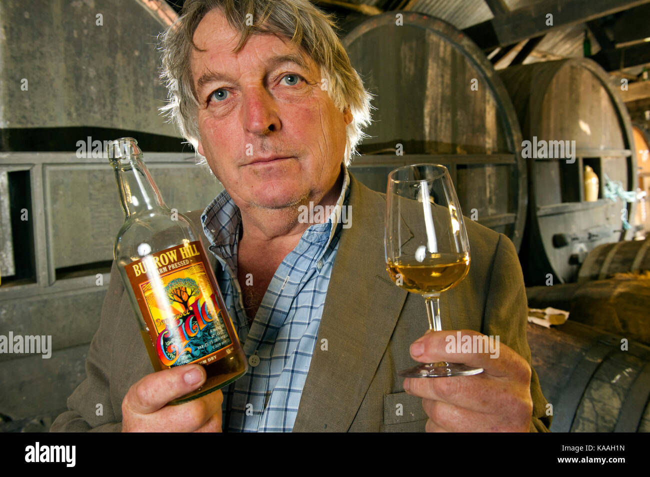 individualJulian Temperley, owner of the Burrow Hill Cider Farm and producer of Somerset Cider