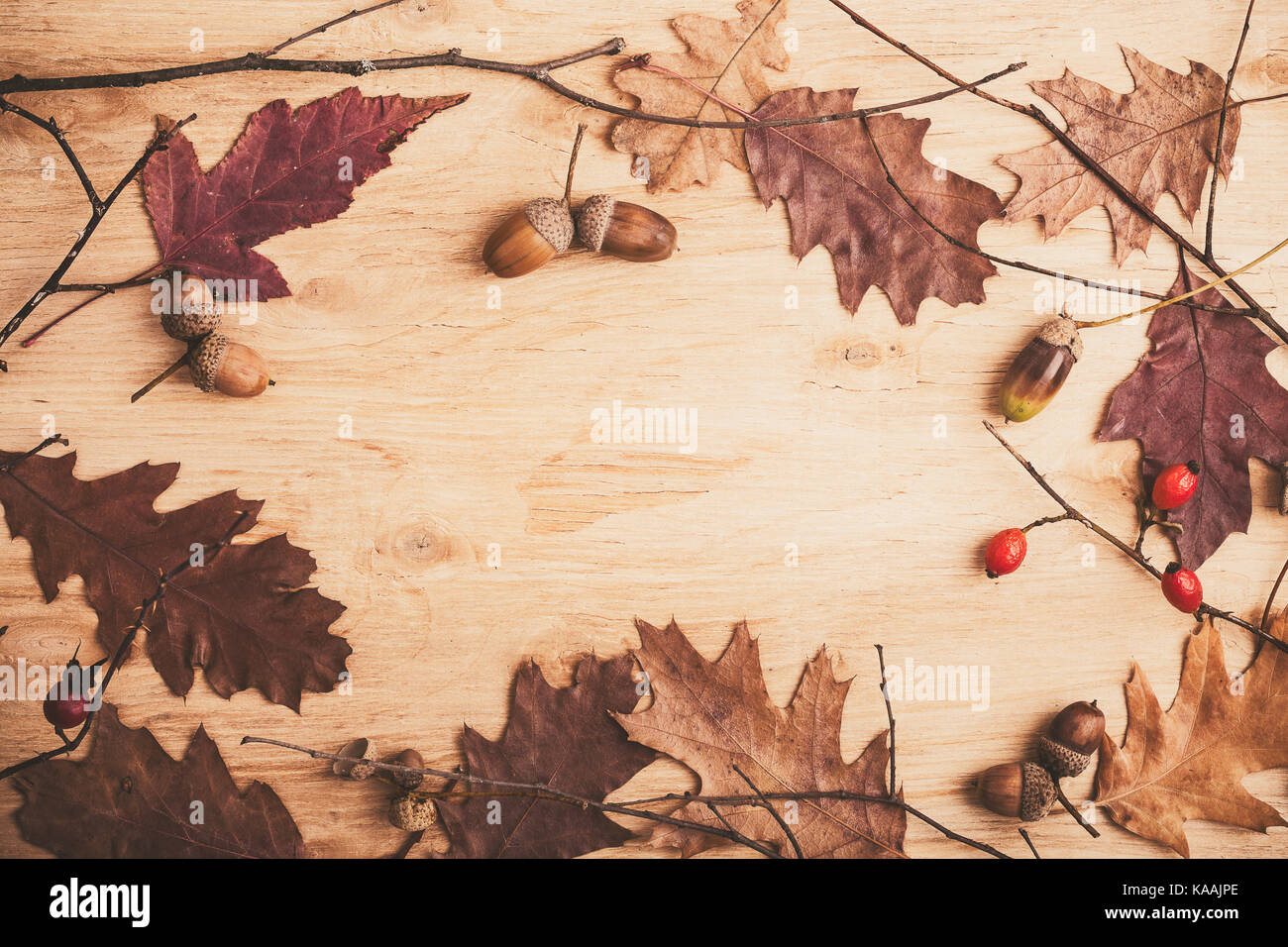 Autumn Cozy Decorations Still Life Tree Branches And Leaves On