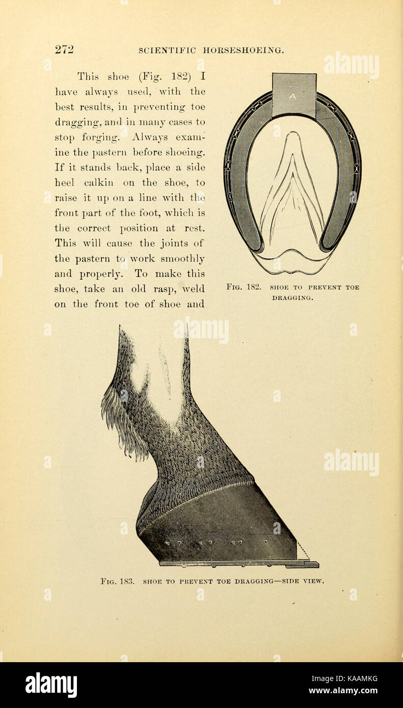 Page272