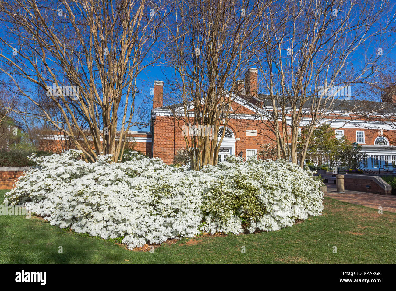 Hall at the University of Virginia on April 15, 2016 in