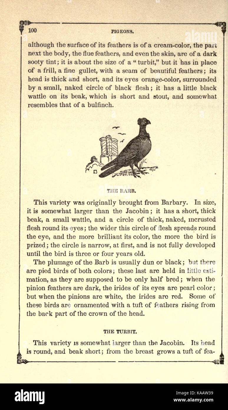 The American bird fancier; or, How to breed, rear, and care for song