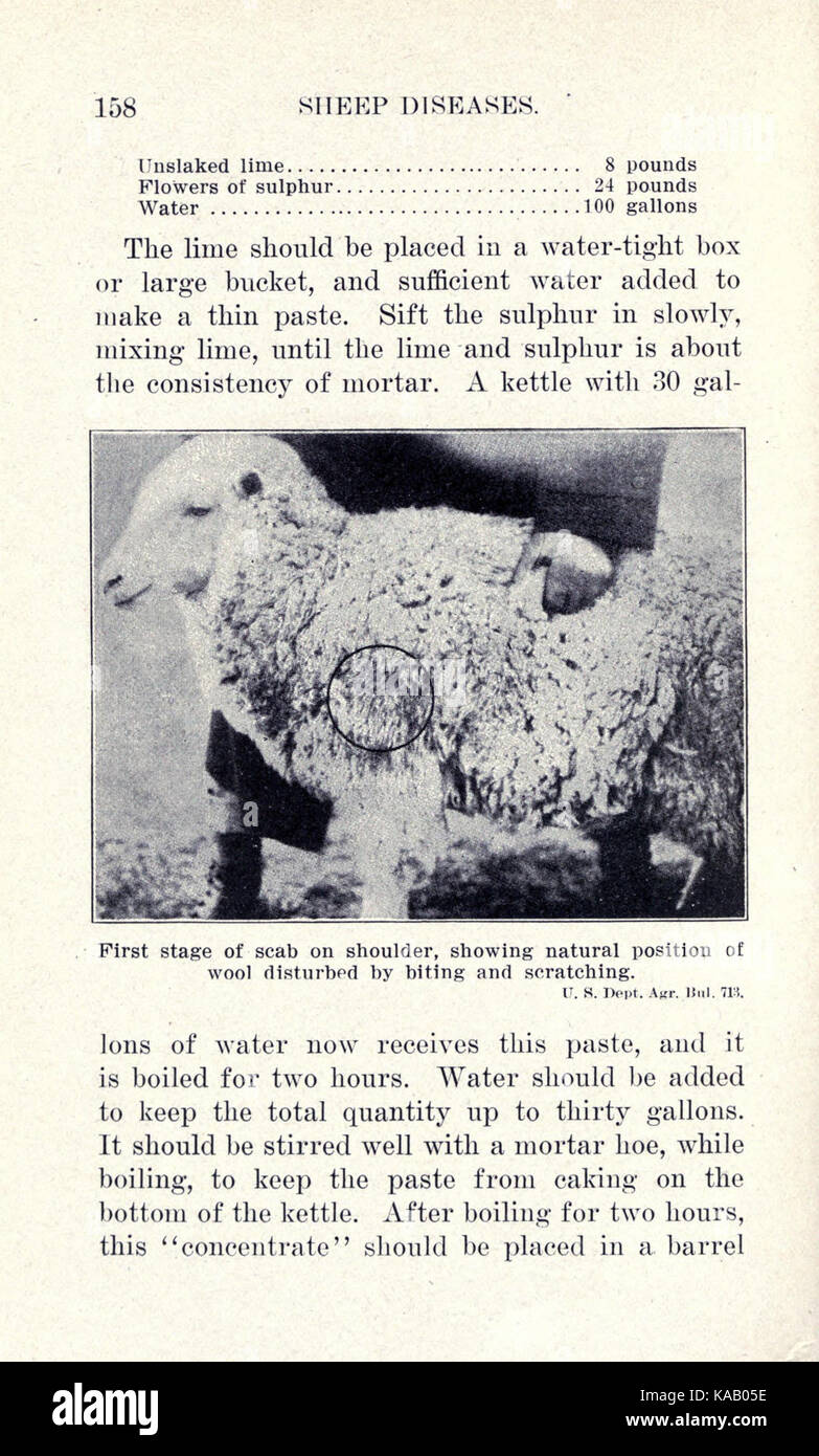 Sheep illnesses hi-res stock photography and images - Alamy