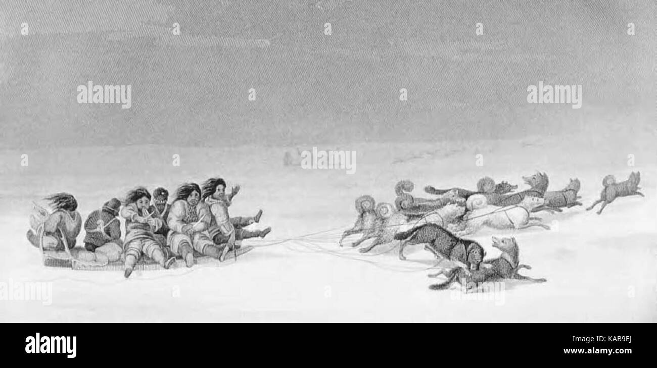 Sledges of the escimaux Stock Photo Alamy