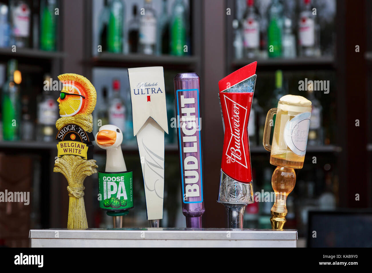 Selection of beers and lagers for sale at a bar cafe at Disney Springs, Orlando, Florida, America, USA Stock Photo