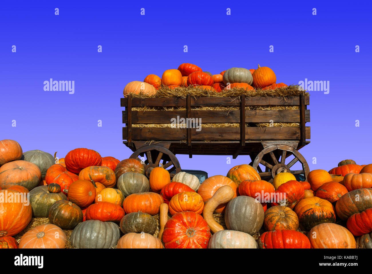 Colorful pumpkins collection on outdoor autumn market Stock Photo - Alamy