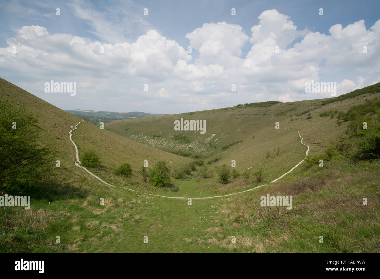View of chalk downland landscape at Butser Hill in the South Downs National Park, Hampshire, UK Stock Photo