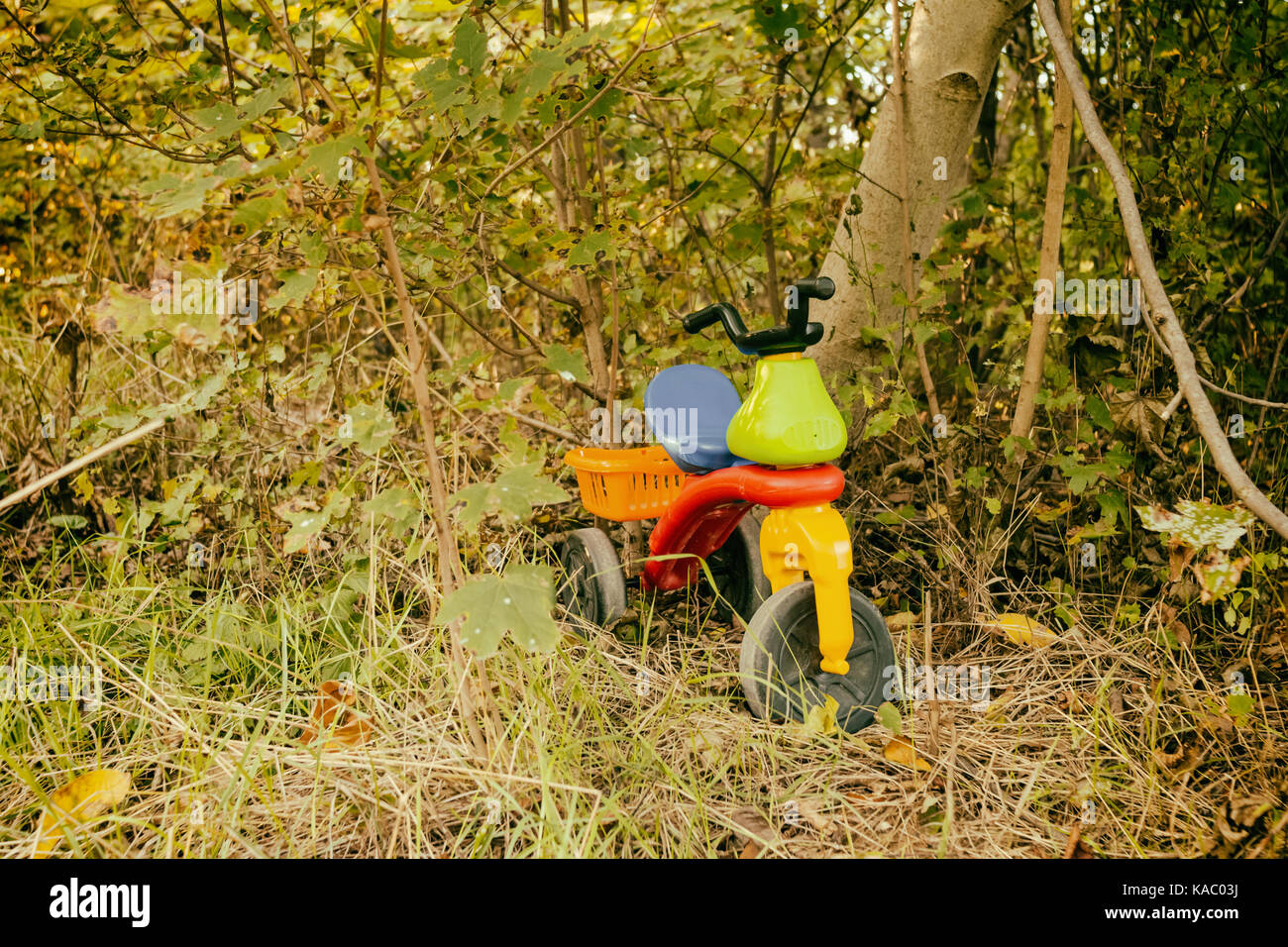 Abandoned toy cart in the forest Stock Photo