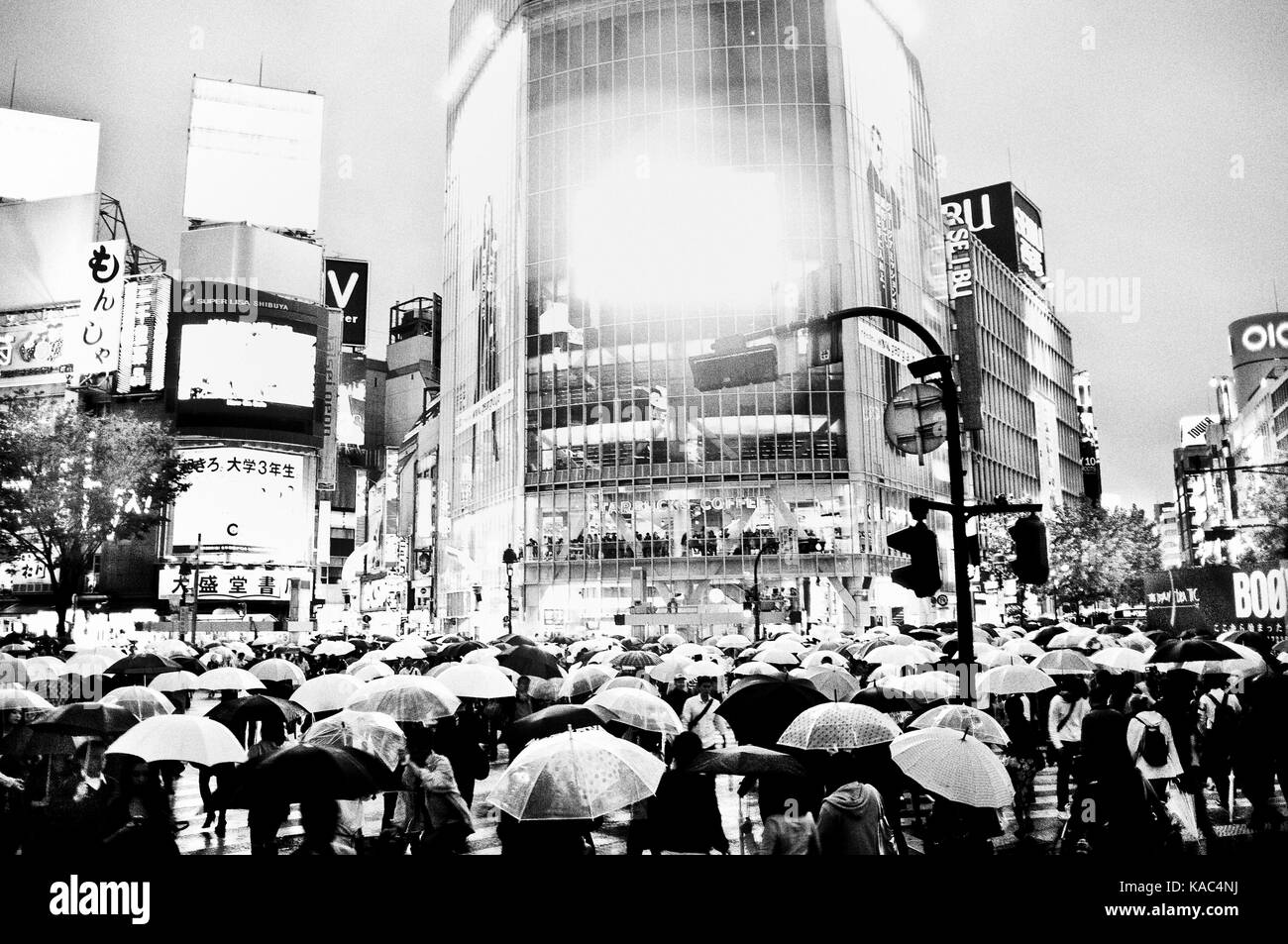 shibuya crossing Stock Photo