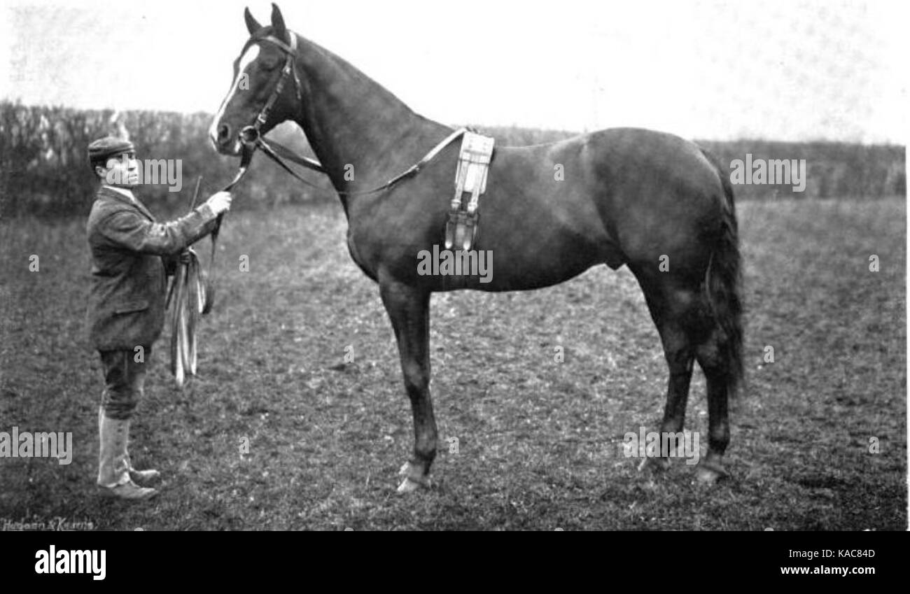 Sir hugo hires stock photography and images Alamy