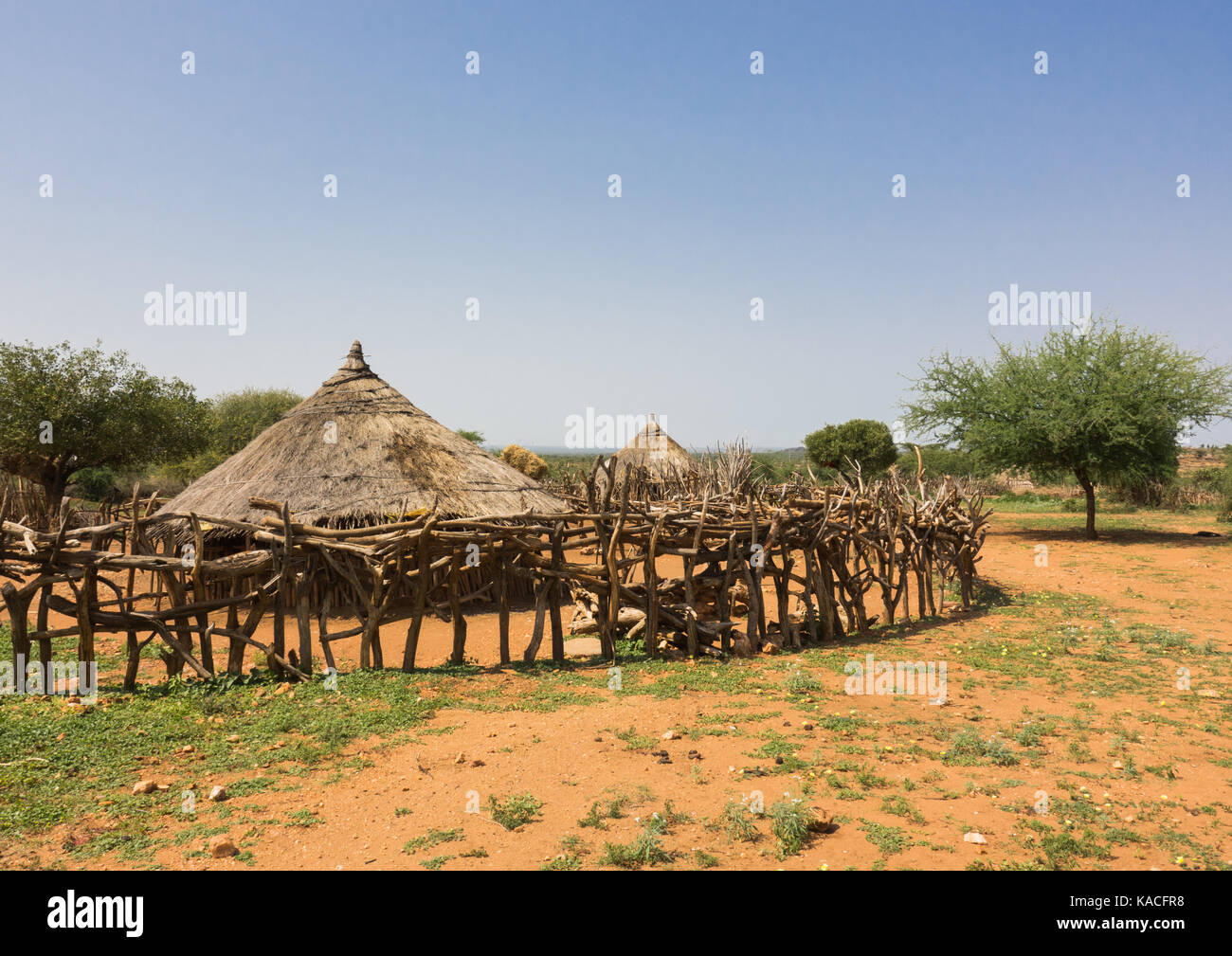 Hut in a Turmi village in Southern Ethiopia, Omo Valley, Ethiopia Stock Photo