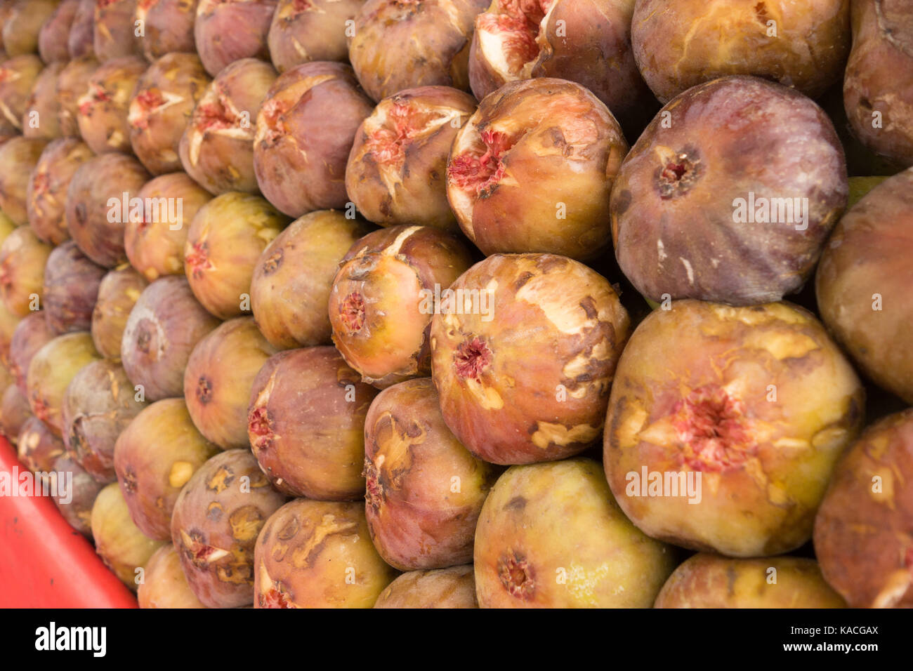 HYDERABAD,INDIA-25th SEPTEMBER,2017.Common Figs neatly arranged in layers for Sale by a street fruit vendor in Hyderabad,India Stock Photo