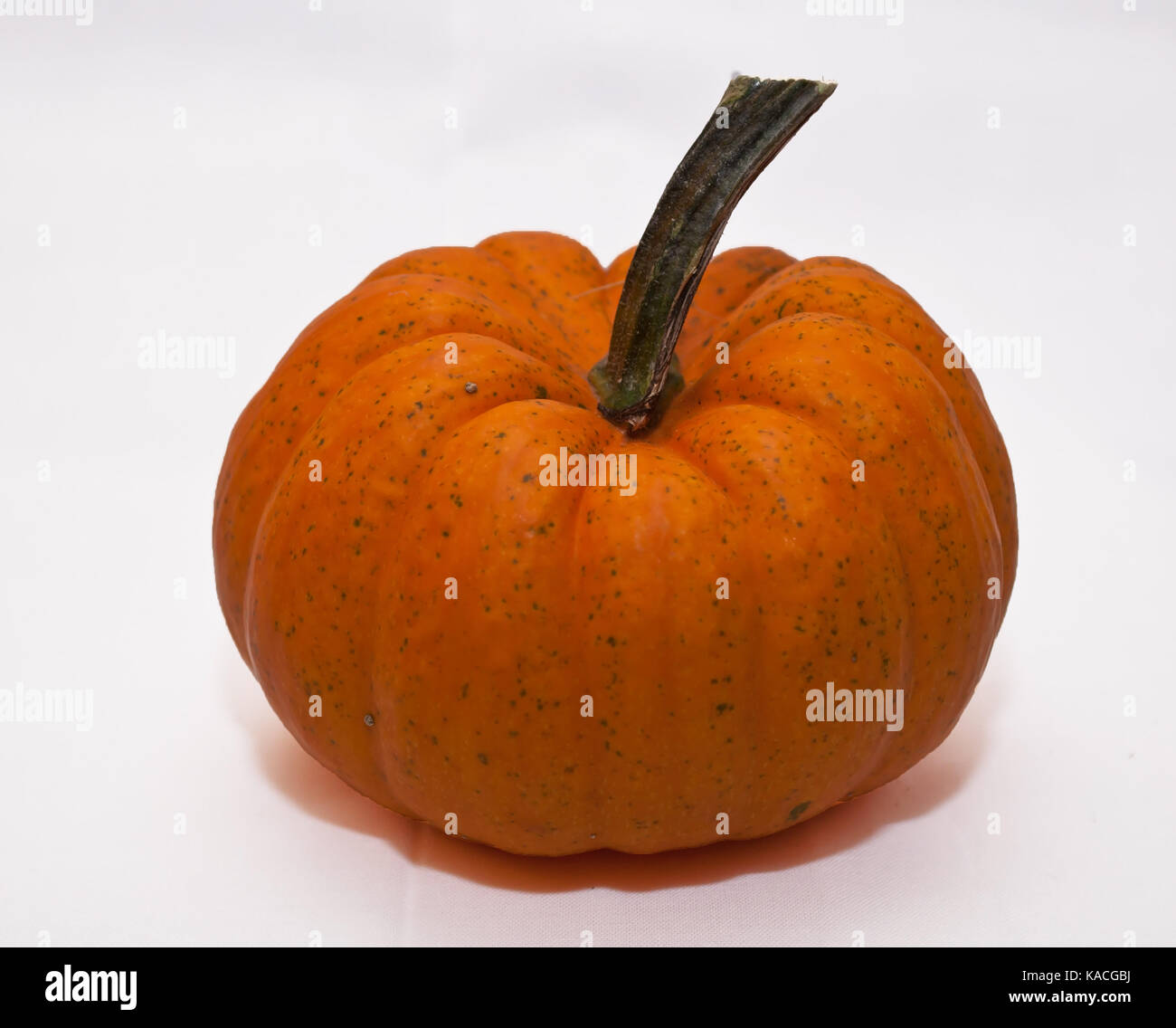 A small pumpkin with a white background Stock Photo