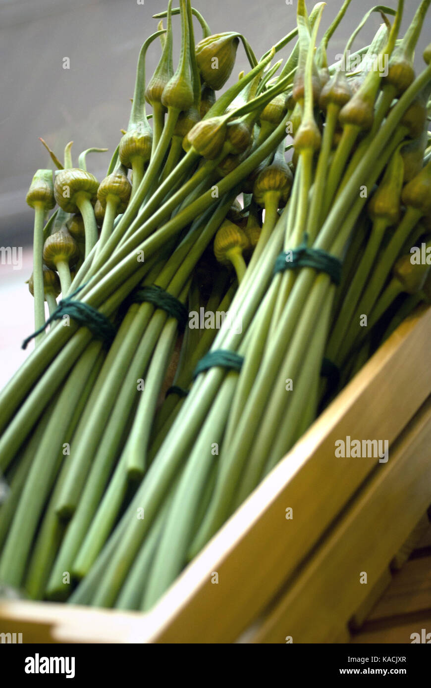 Onion seed heads on sale in a vegetable market Stock Photo Alamy