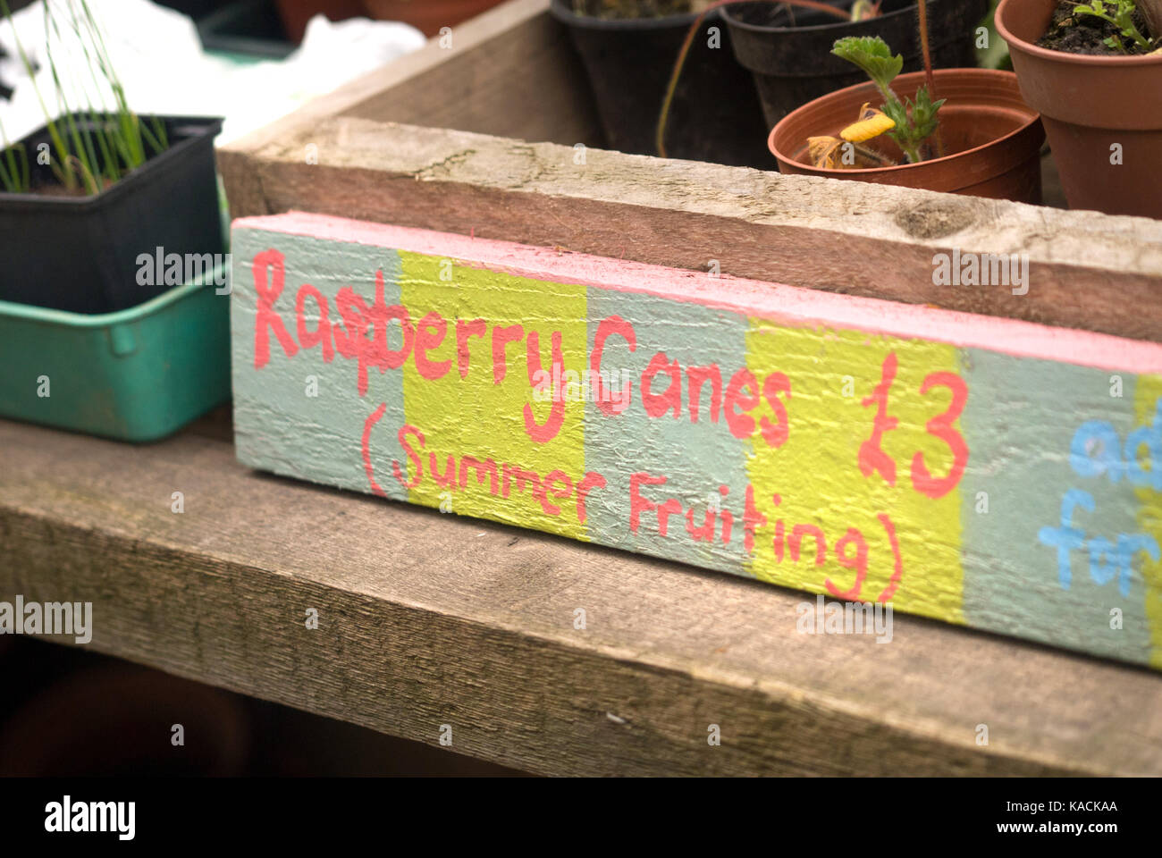 Raspberry canes hires stock photography and images Alamy