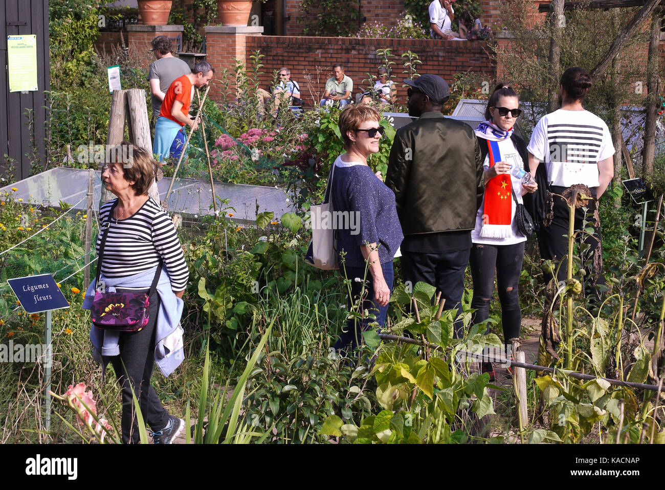 House of Gardening teaches practical experience to amateur gardeners at