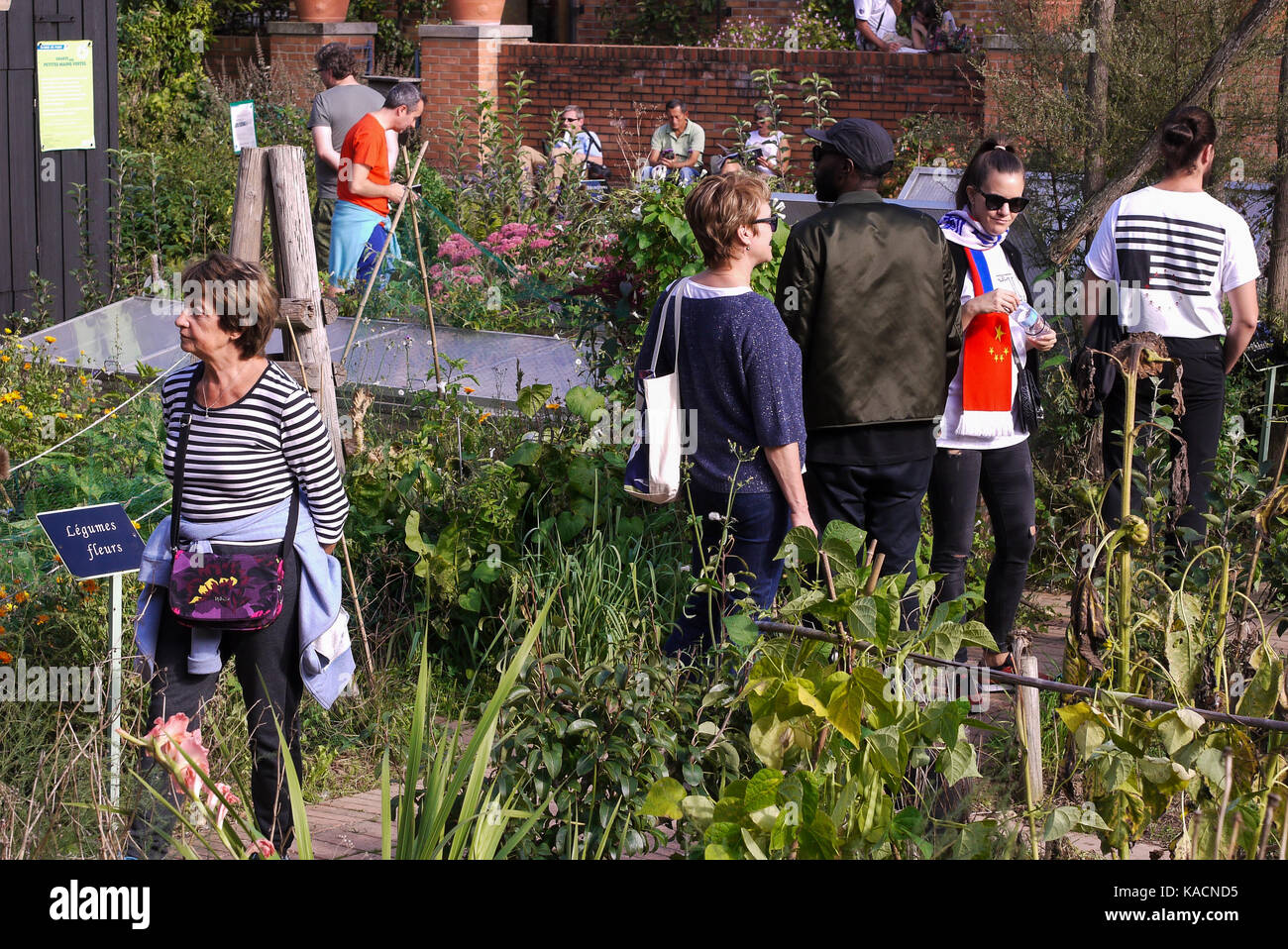 House of Gardening teaches practical experience to amateur gardeners at